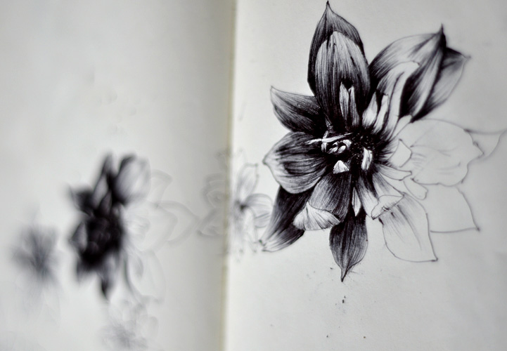 Carnet de croquis et dessin, stylo noir, Hervé Augoyat Lyon.