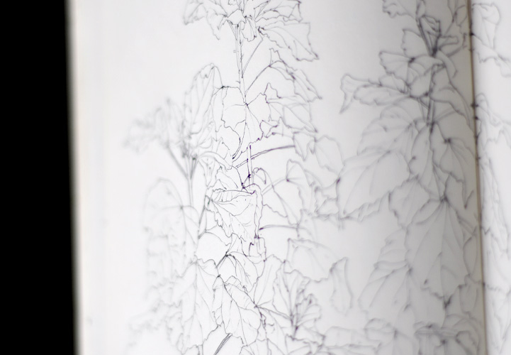Carnet de croquis et dessin, stylo noir, Hervé Augoyat Lyon.