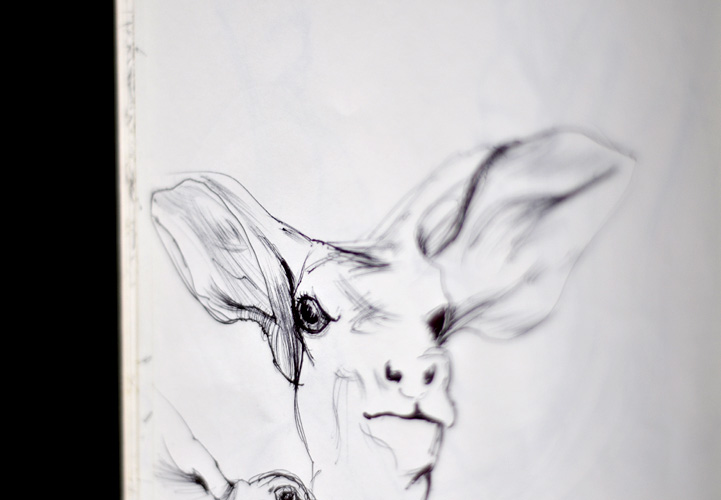 Carnet de croquis et dessin, stylo noir, Hervé Augoyat Lyon.