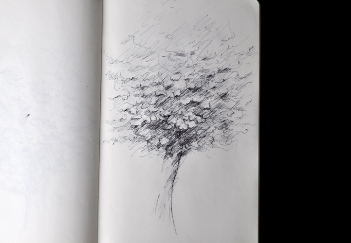 Carnet de croquis et dessin, stylo noir, Hervé Augoyat Lyon.