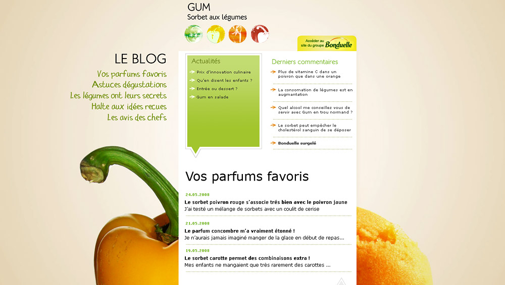Gum sorbet légumes, Création logotype et site par Hervé Augoyat